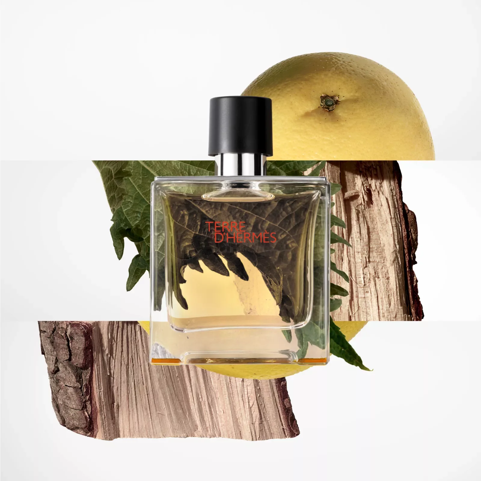 Hermès Earth Essence — фото 4