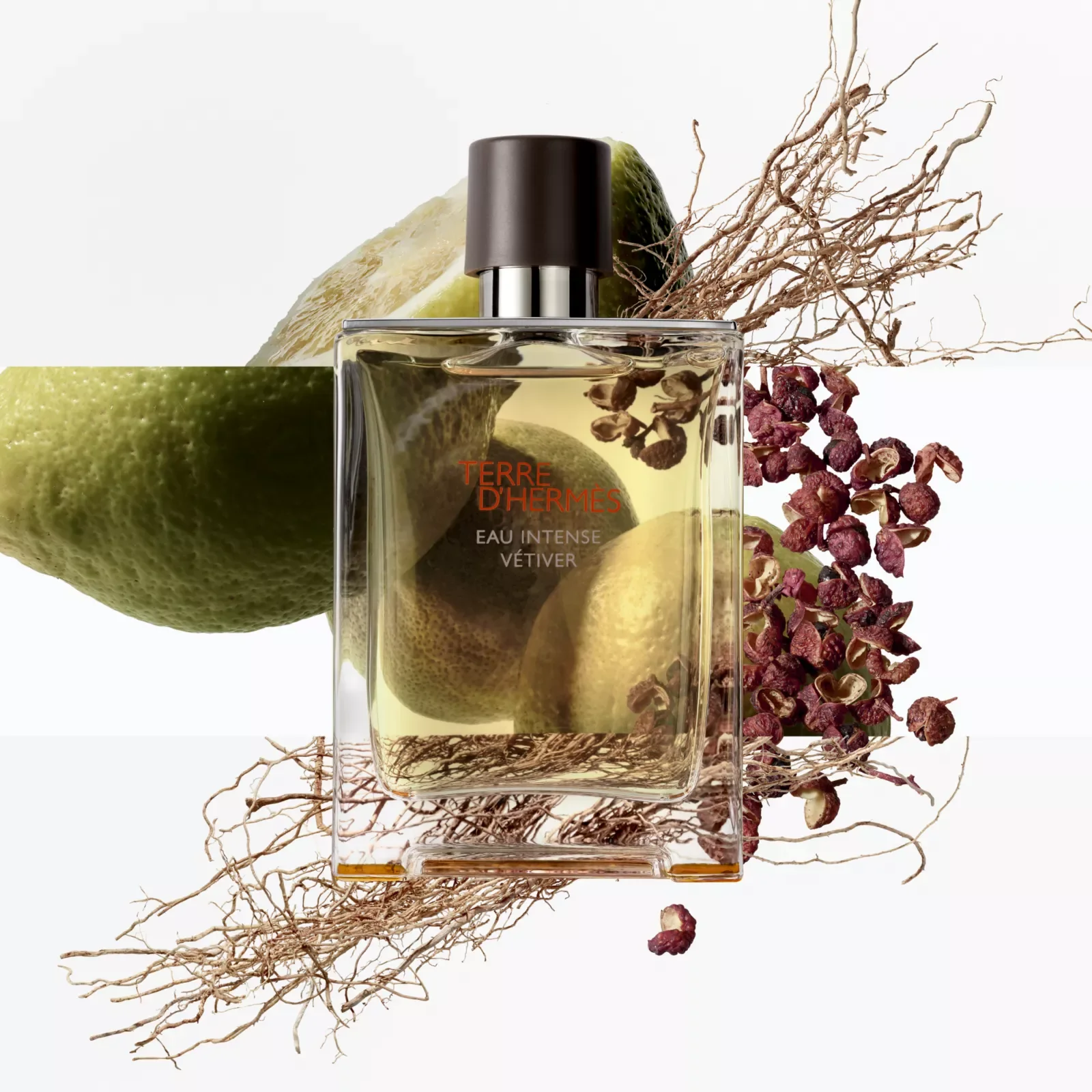 Парфюм Hermès Terre, аромат с насыщенными нотами ветивера — фото 4