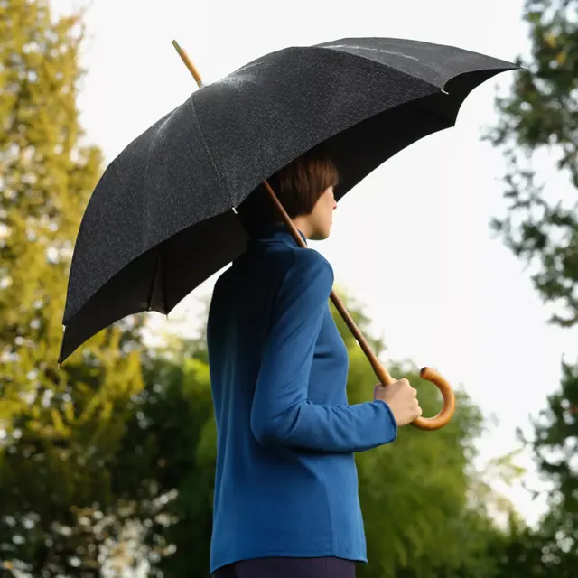 Pluie de H Зонтик